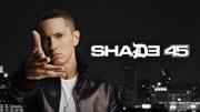 Shade 45